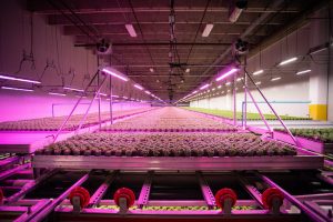 Bad-Actor Certifiers Acting as Agribusiness Front Groups/Lobbyists Bad-Actor Certifiers Acting as Agribusiness Front Groups/Lobbyists