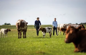 Meatable preps for Series C funding round, hires new CTO