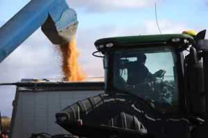 US corn exports off to strong start