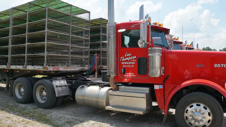 Covenant pays poultry carrier another multimillion-dollar performance award Covenant pays poultry carrier another multimillion-dollar performance award