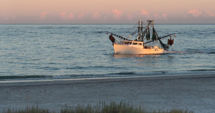 Agricultural Runoff: Organic Practices as a Method for Marine Conservation Agricultural Runoff: Organic Practices as a Method for Marine Conservation