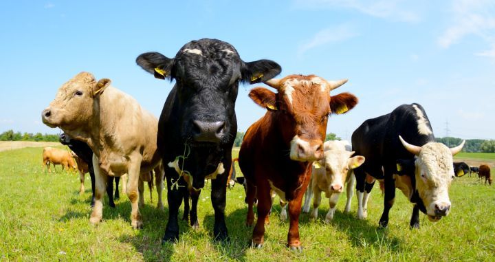Action Alert! Tell Congress: Don’t Fail Our Farmers Action Alert! Tell Congress: Don’t Fail Our Farmers