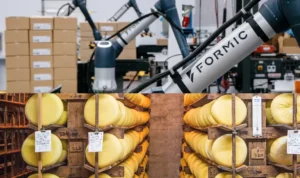 Rumiano automates to remain West Coast leader in community, culture and organic cheese
