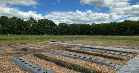 Farmer-Led Trials Program Spotlight: Farmacea