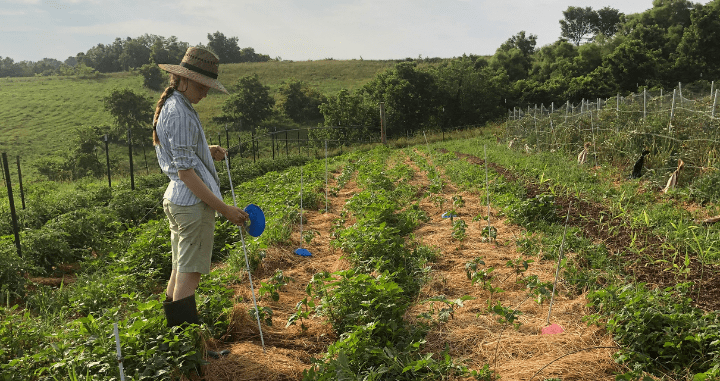 OFRF Urges NOSB to Keep Driving Bold Farmer-Centered Organic Research OFRF Urges NOSB to Keep Driving Bold Farmer-Centered Organic Research