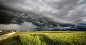 Spring Storms in Policymaking: How Organic Research is Affected by Reconciliation