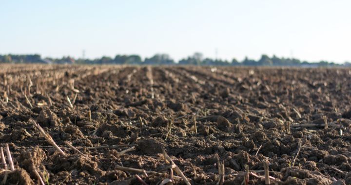 Keeping it Real: How OFRF groundtruths our policy priorities, and why that matters Keeping it Real: How OFRF groundtruths our policy priorities, and why that matters