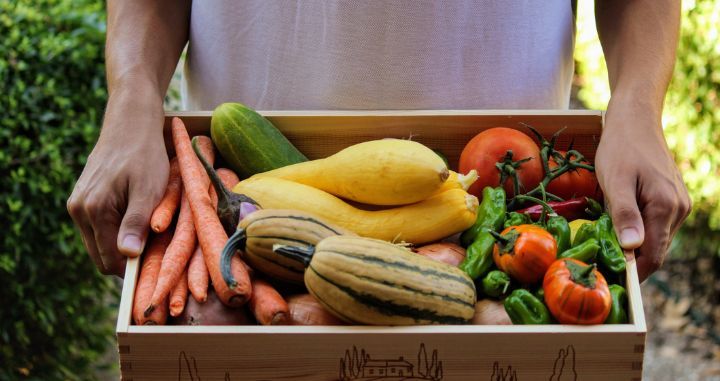 Nearly 80% of New Organic Farmers Are Looking for Climate Resilience Nearly 80% of New Organic Farmers Are Looking for Climate Resilience