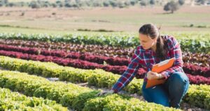 Sharing the Latest Organic Research with NRCS: a new annual research report and webinar are available from OFRF