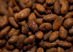 Can chocolate substitutes step in as cocoa prices soar?