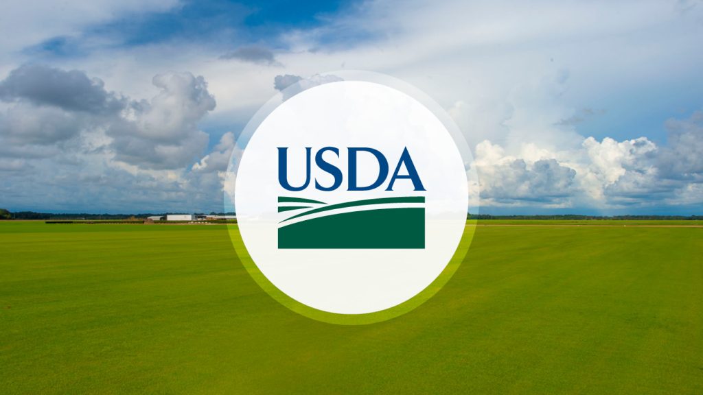 USDA Announces .3 Million in Grant Agreement to Cover Agricultural Losses due to Hurricane Helene in South Carolina USDA Announces .3 Million in Grant Agreement to Cover Agricultural Losses due to Hurricane Helene in South Carolina