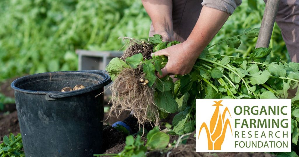 Farmer-Led Trials Forum 2024 – Organic Farming Research Foundation Farmer-Led Trials Forum 2024 – Organic Farming Research Foundation