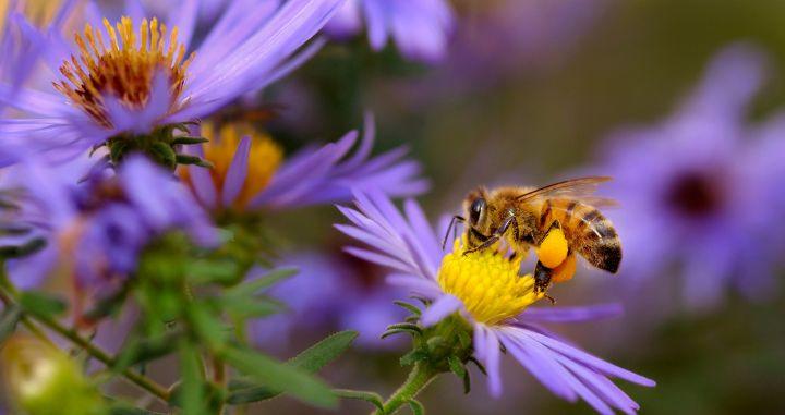 The Power of Shared Narrative: Lessons from the Institute for Agroecology The Power of Shared Narrative: Lessons from the Institute for Agroecology