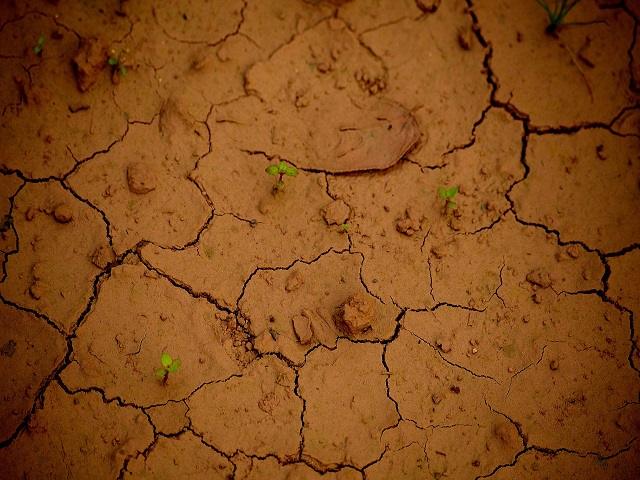 USDA Drought Resources Pair Recovery With Farm Resilience – All Ag News USDA Drought Resources Pair Recovery With Farm Resilience – All Ag News