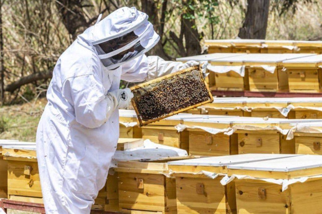 Failure by USDA to Enforce Federal Organic Law Prompts Lawsuit