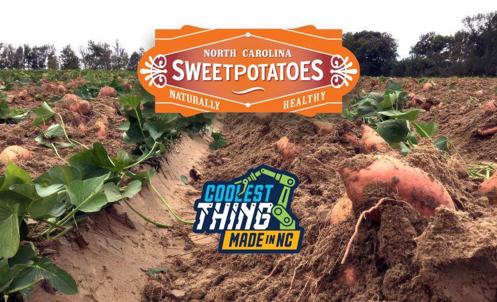 NC Sweetpotatoes Vie For Coolest Thing Made In NC