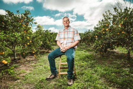 Using Synergy, Conservation Practices, and NRCS Support to Save Citrus with Uncle Matt’s Organic