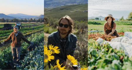 Beating Pests and Disease: What Northwest Farmers and Researchers Have Learned the Hard Way