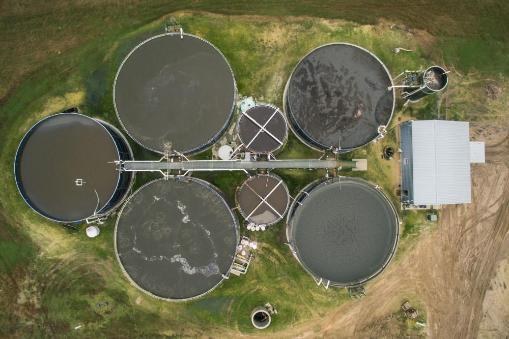 Corn Ethanol Soybean Crush Strengthen Domestic Crop Demand –